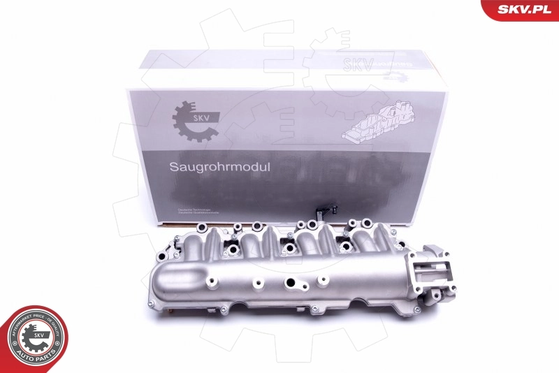 Intake Manifold Module